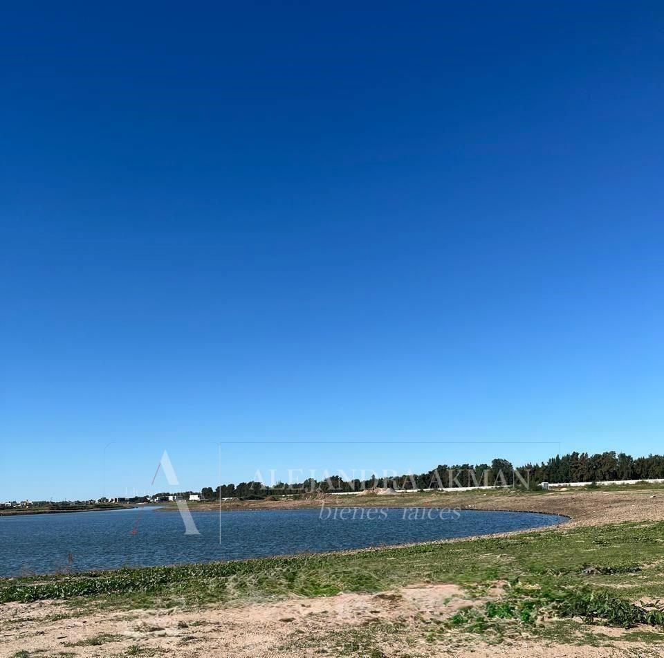 Avenida de los lagos