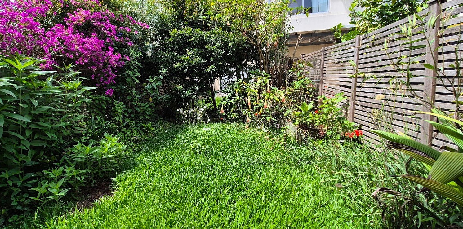 PORTEZUELO-  SOLARES 0