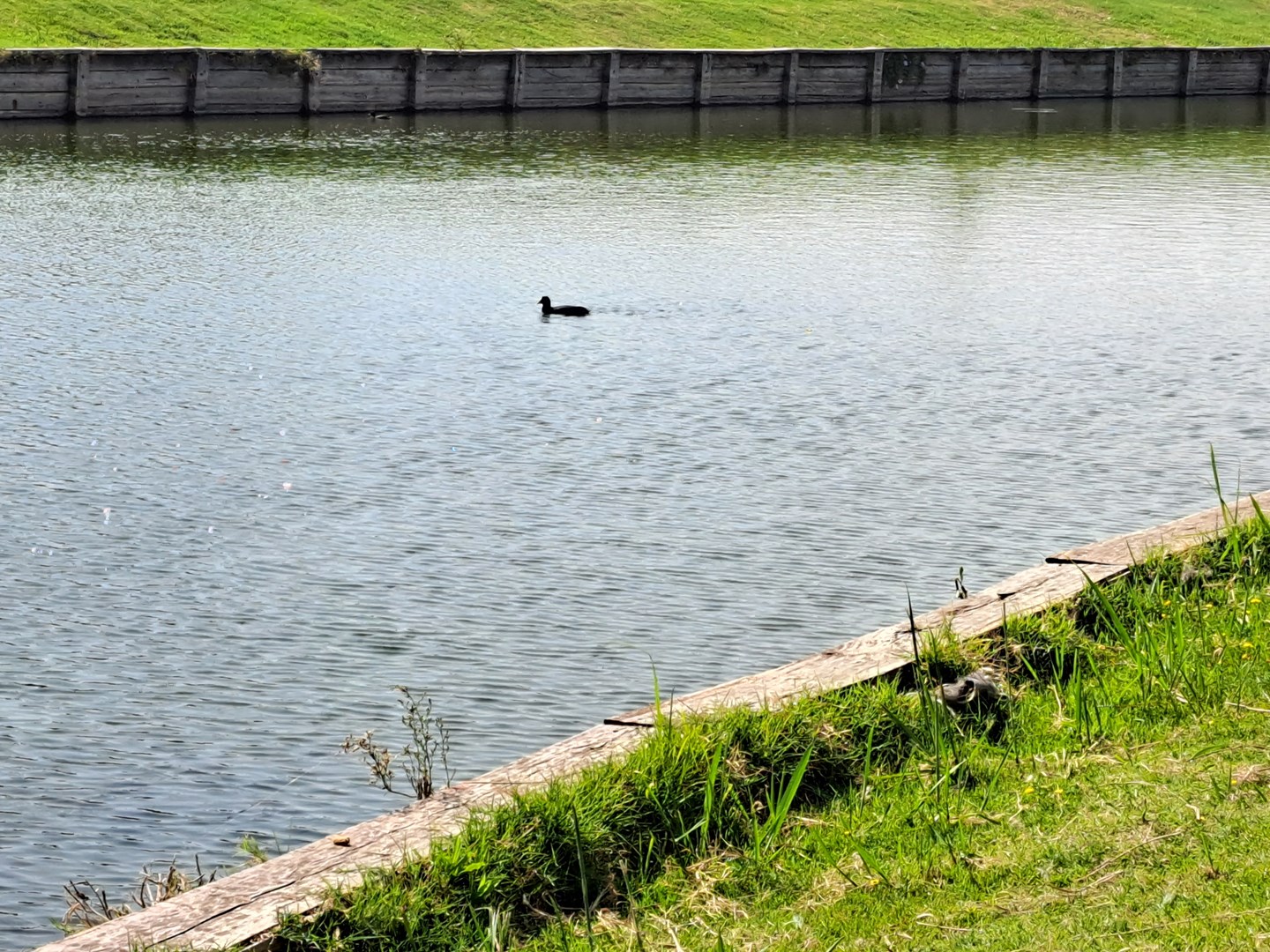 Virazón lote al agua esquina - Nordelta