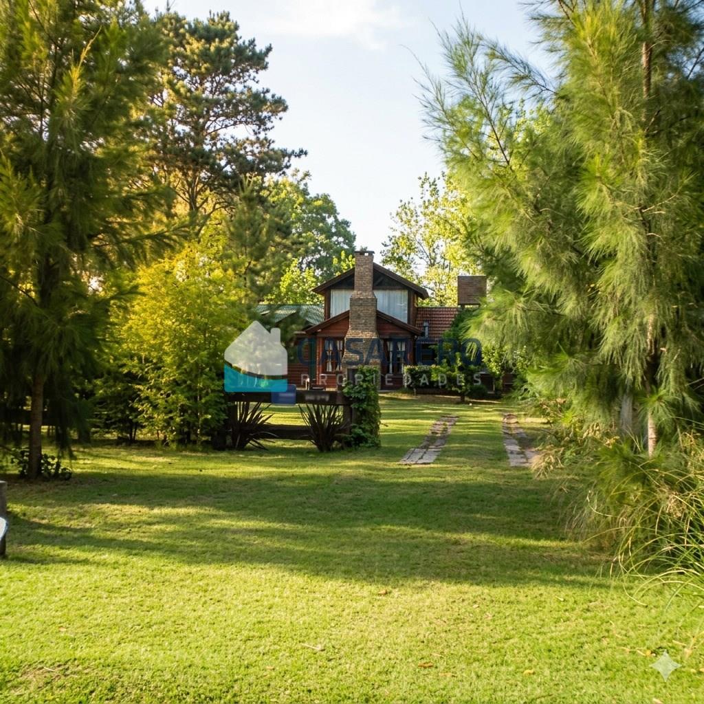 AVENIDA 3. pensamientos y malvones 31100