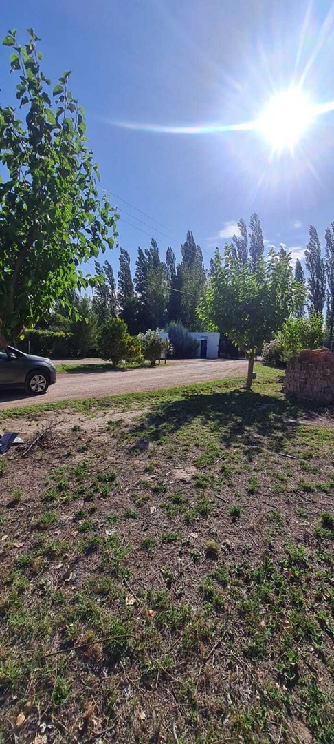 bertani  - Barrio Los Cardos 1600