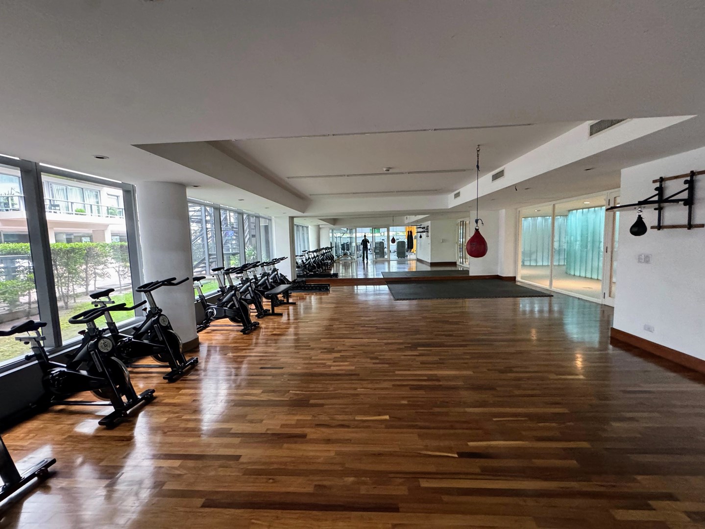gimnasio