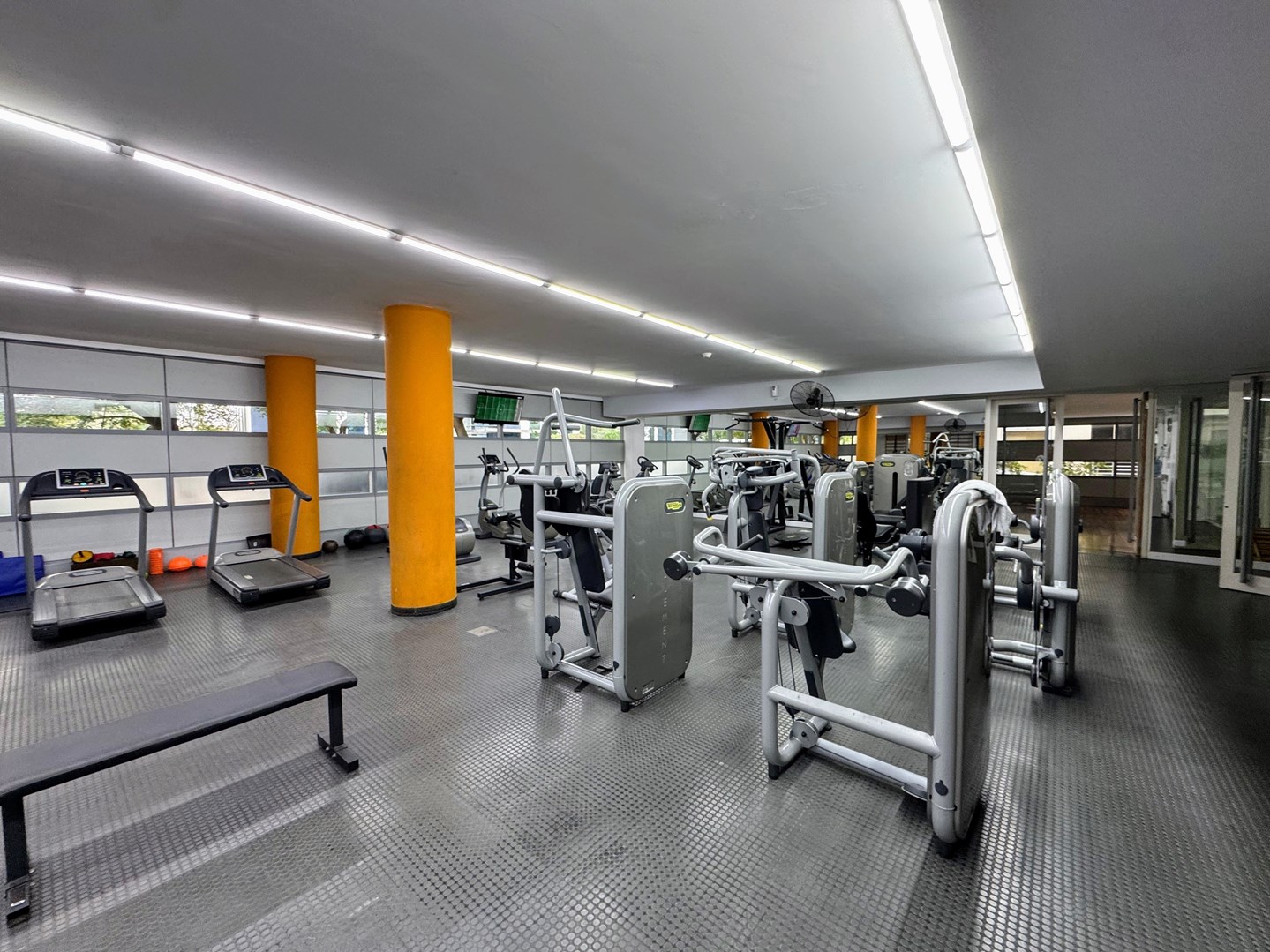 gimnasio