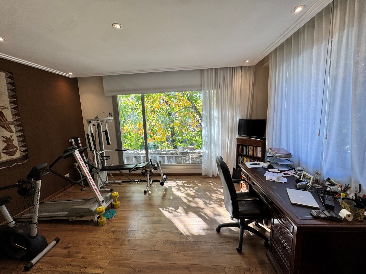 suite junior 1