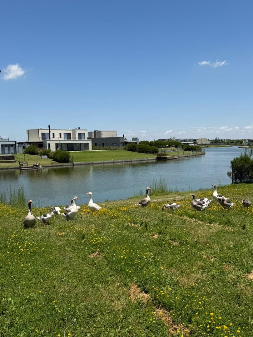 Barrio San Sebastián - Area 8 - 200