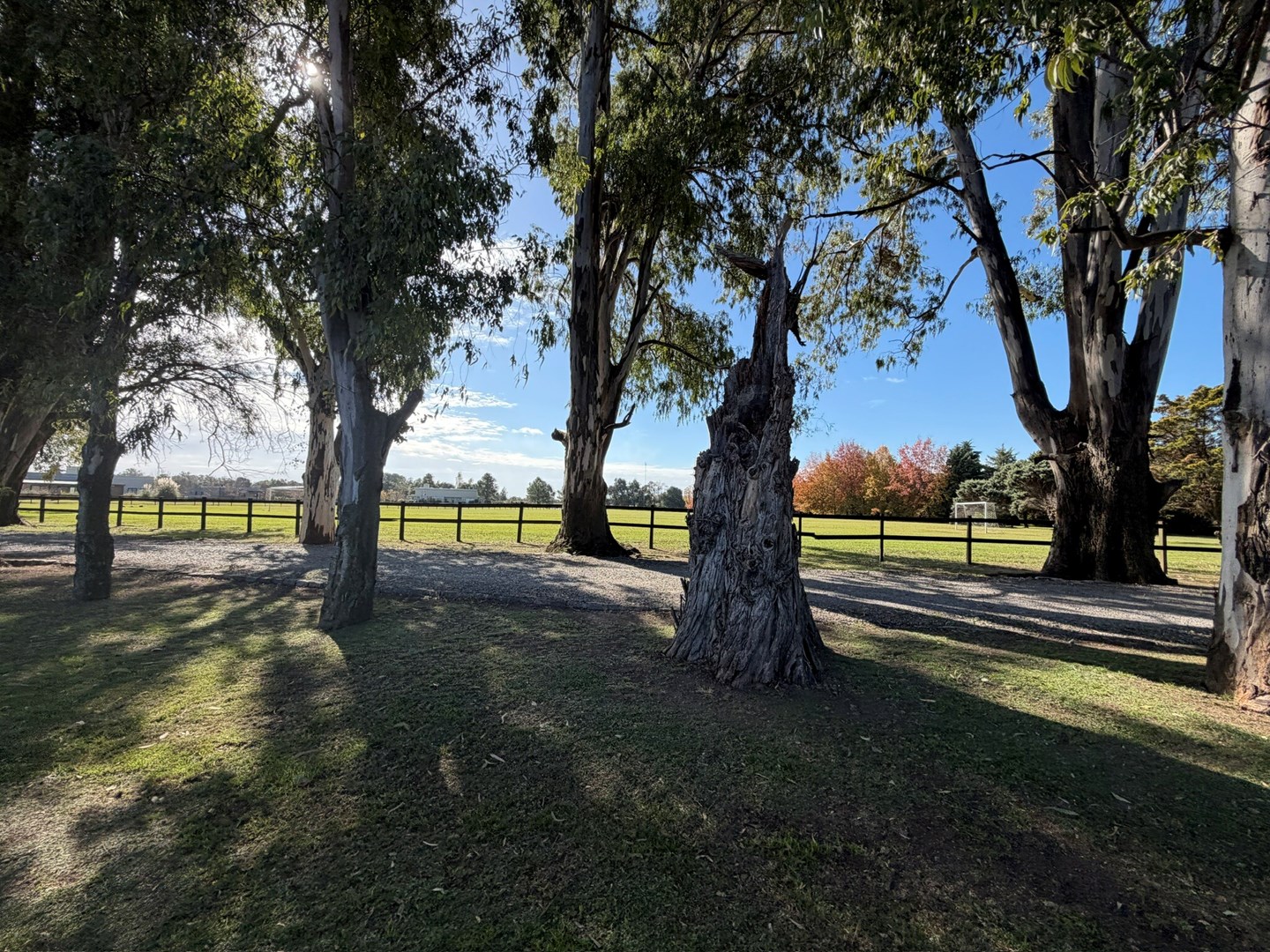 cancha de futbol
