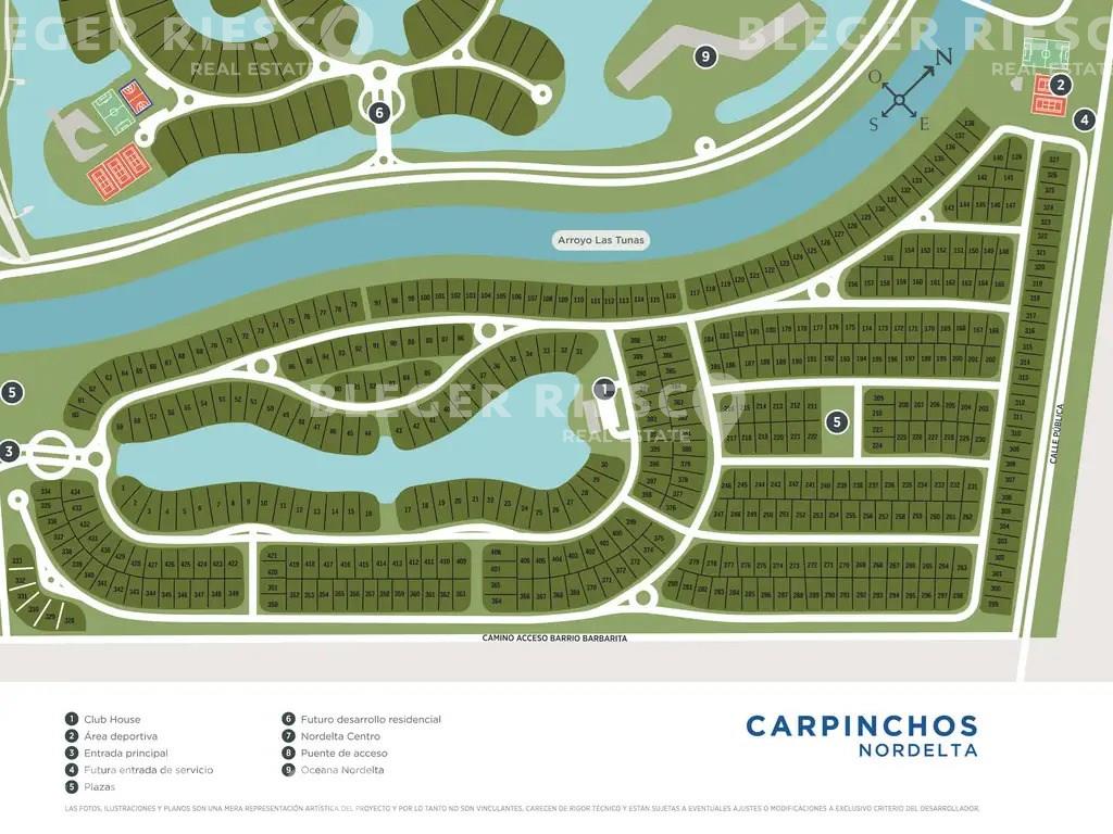 Carpinchos 300