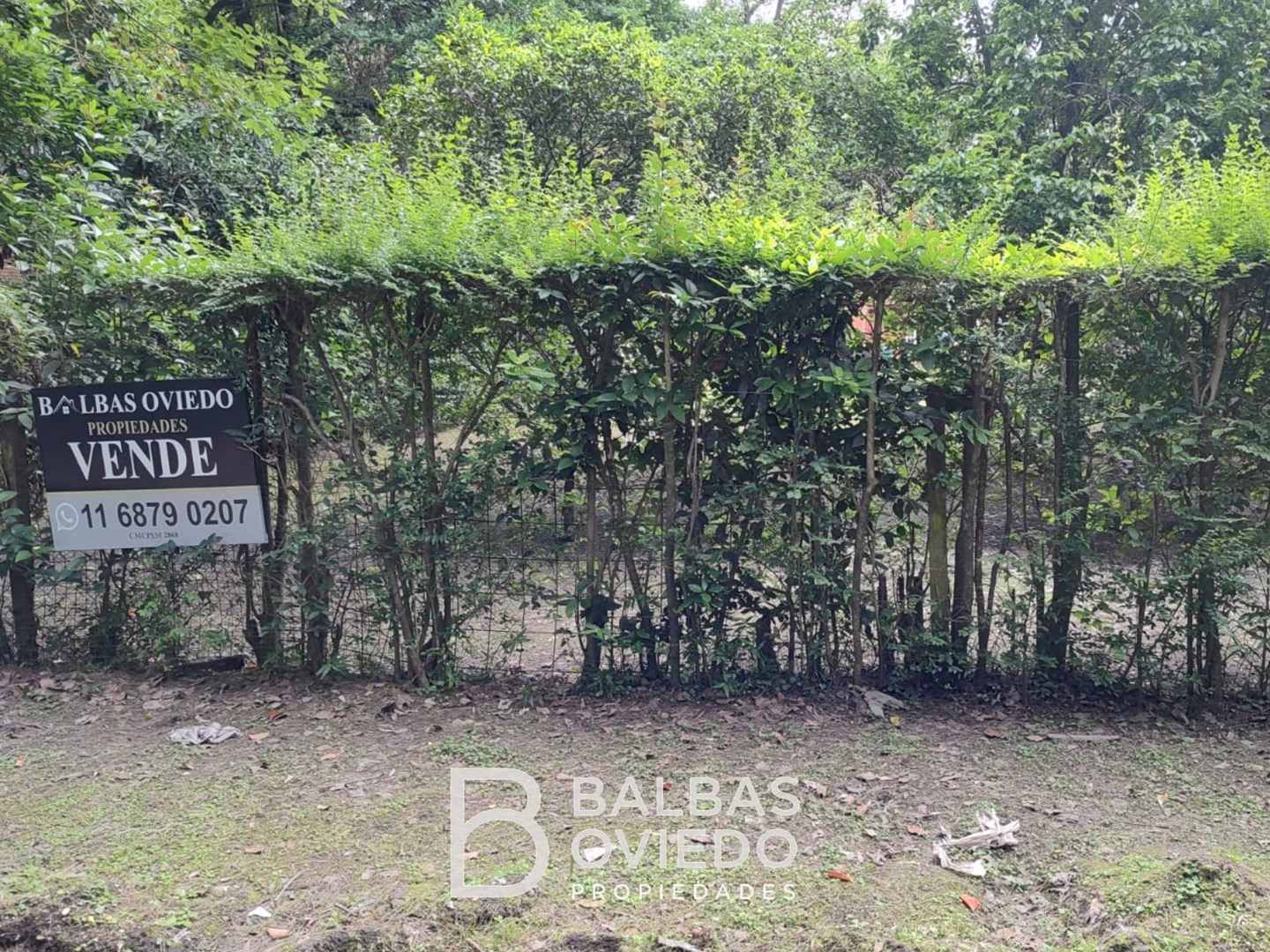 Lartigau Lespada 1700