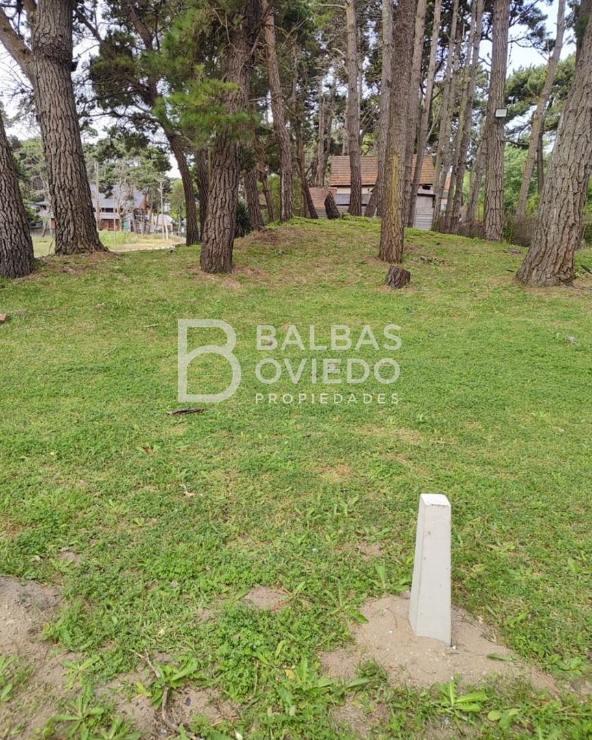 Mar del Plata y 42 100