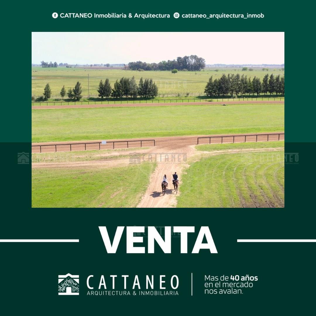 Ruta 205 0