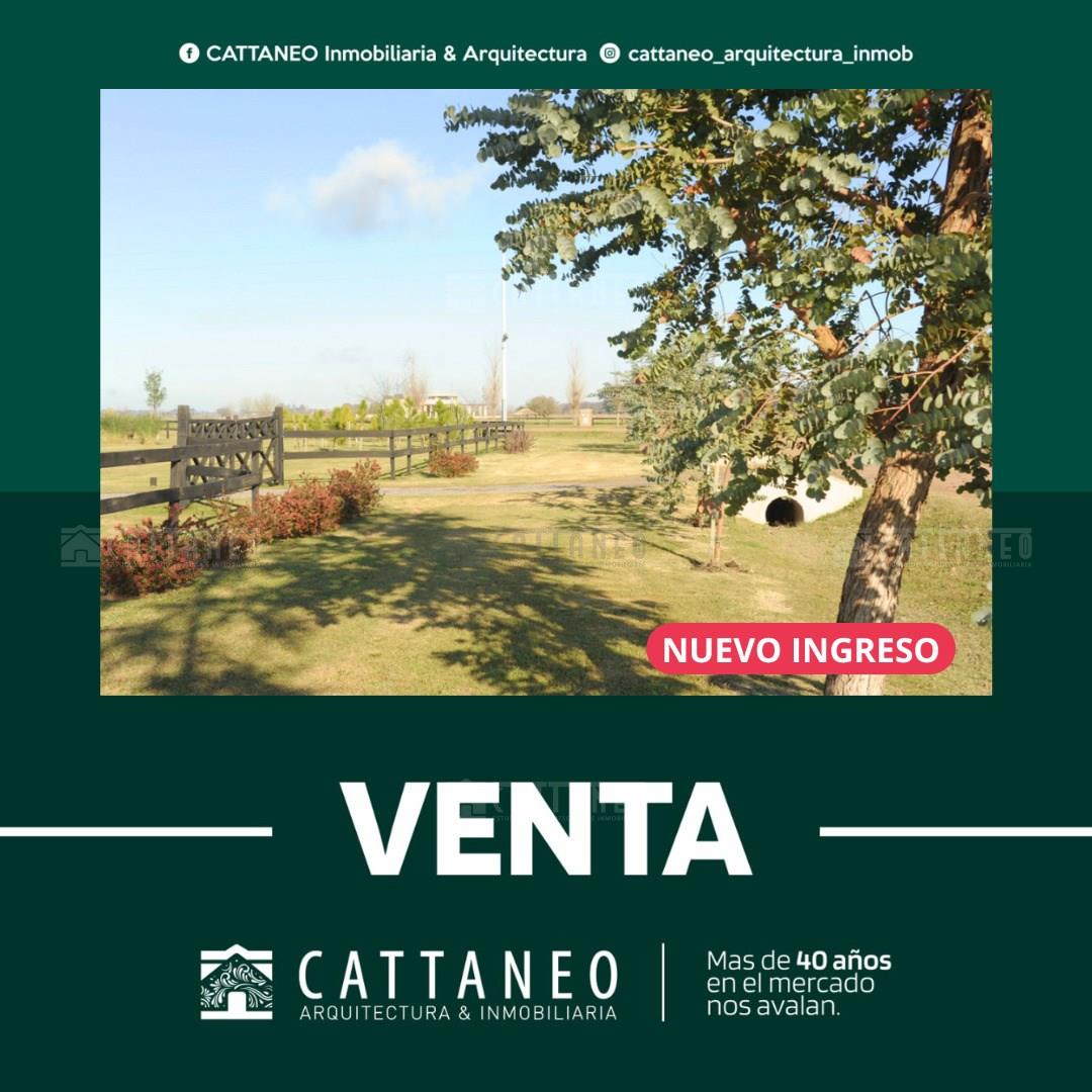 Ruta 205 0