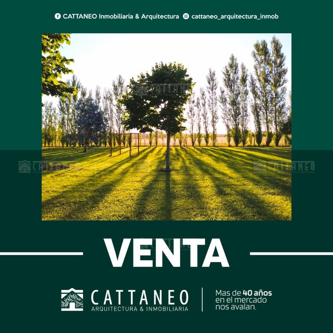 Ruta 205 0