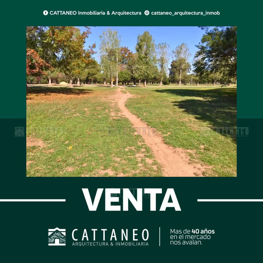 Ruta 205