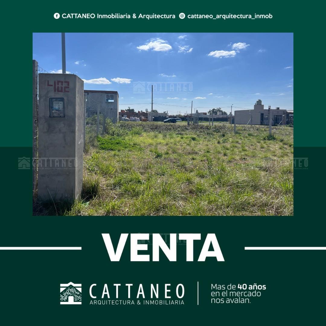 Guadalupe Cuenca 1400