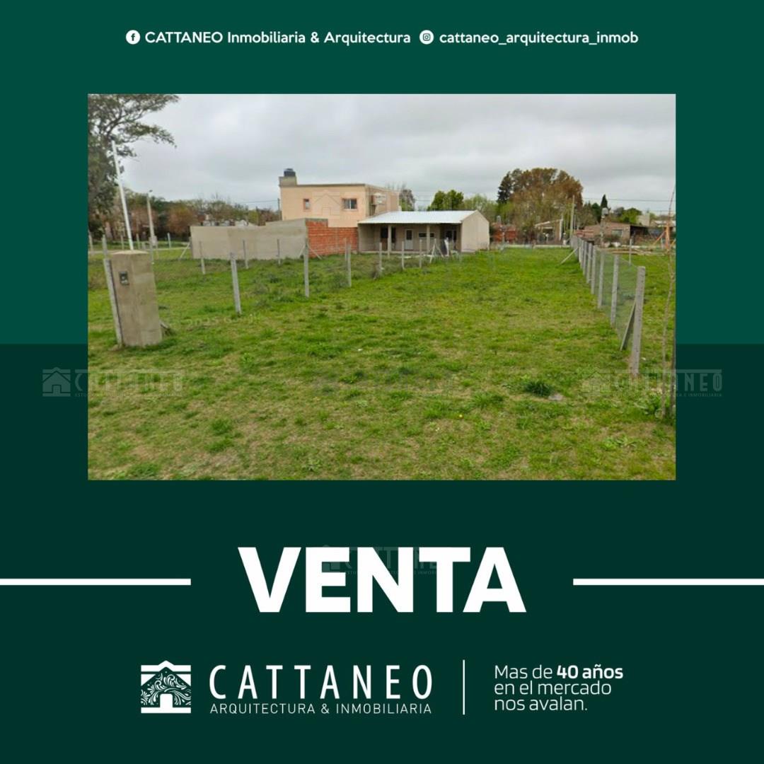 Guadalupe Cuenca 1100