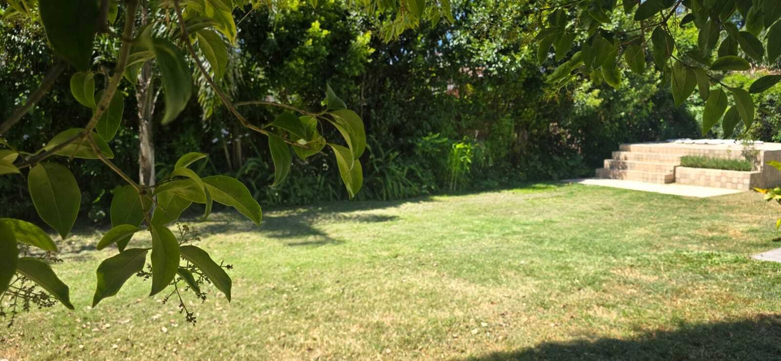 Héctor Basaldua 100