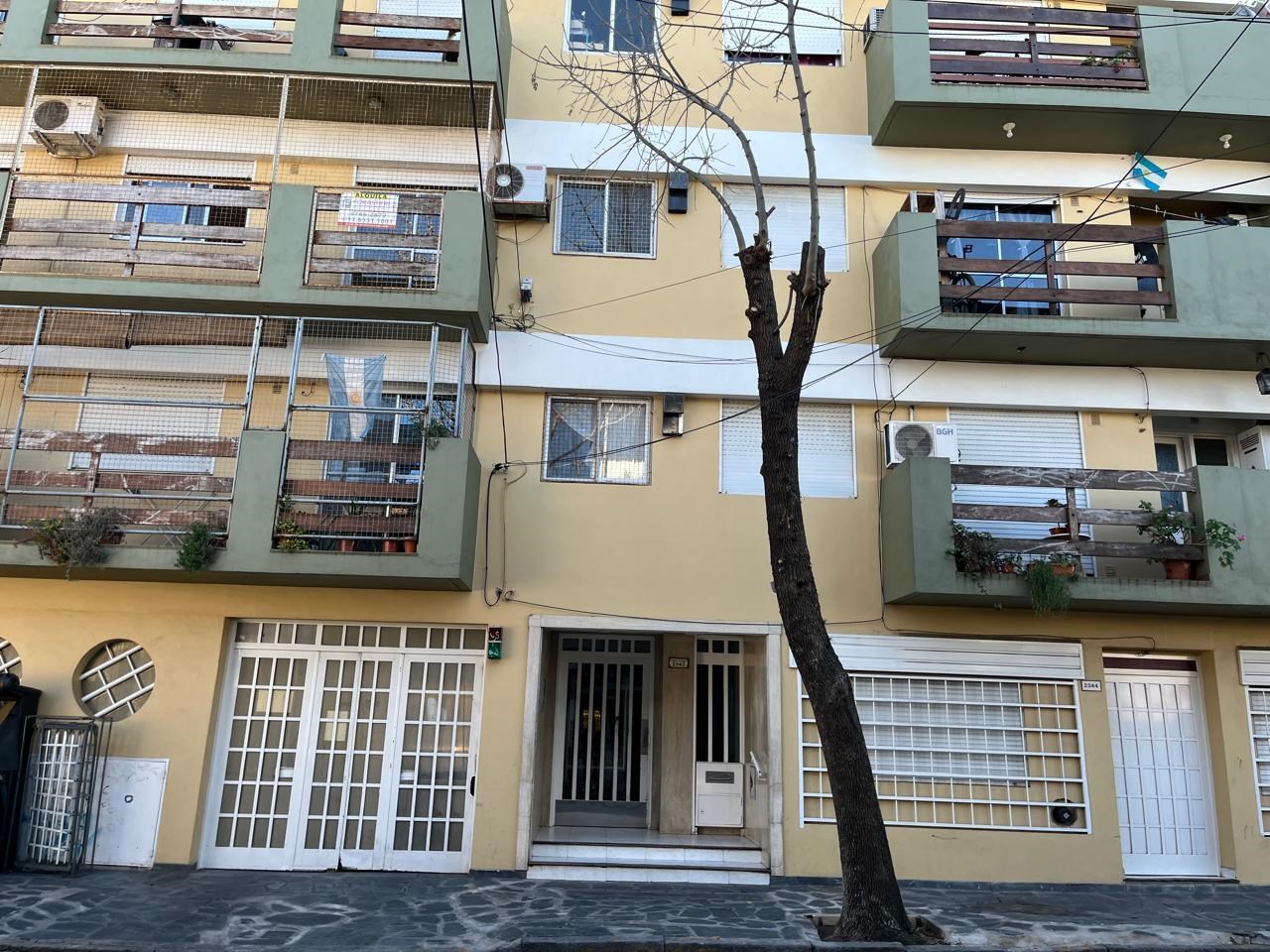 Constitucion 2300