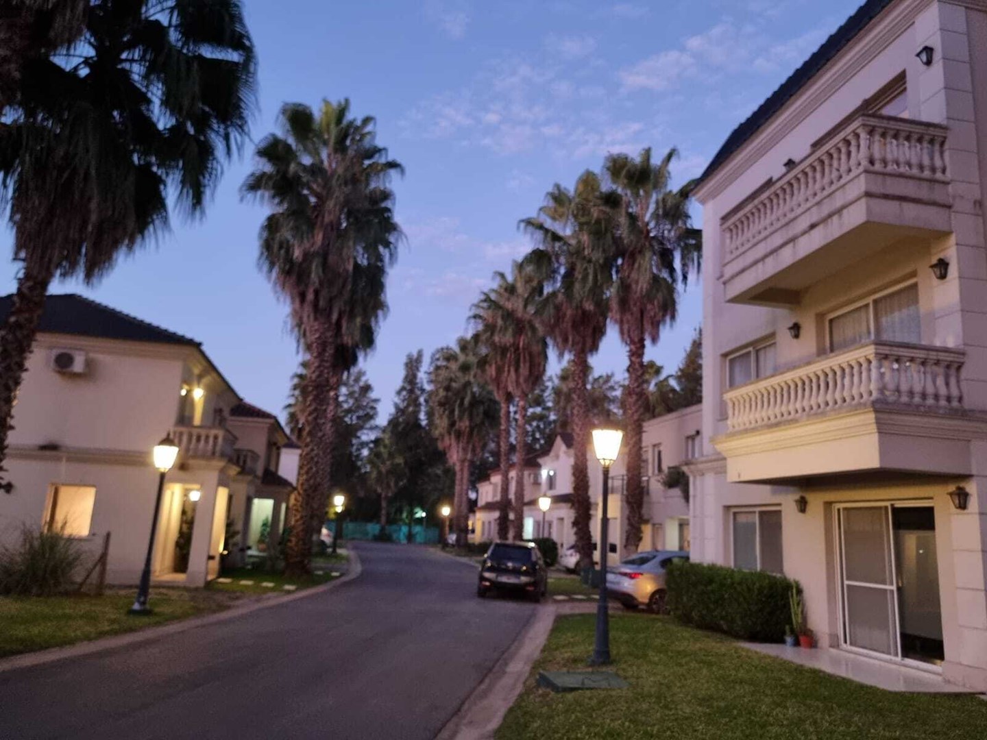 Palmas del Sol R. Caamaño