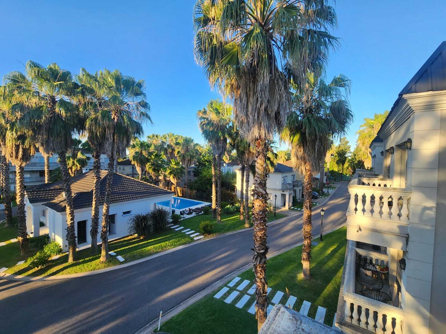 Palmas del Sol R. Caamaño