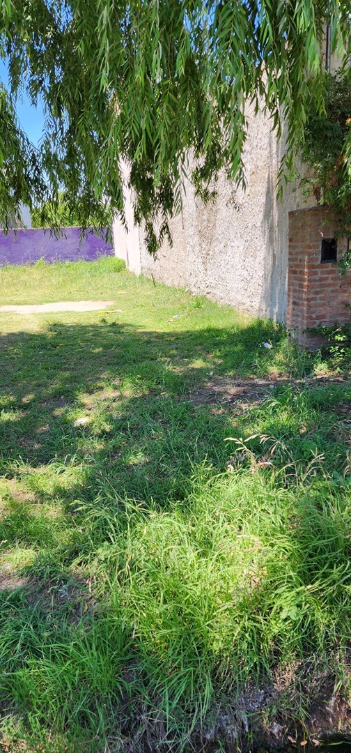 Las Orquideas 400