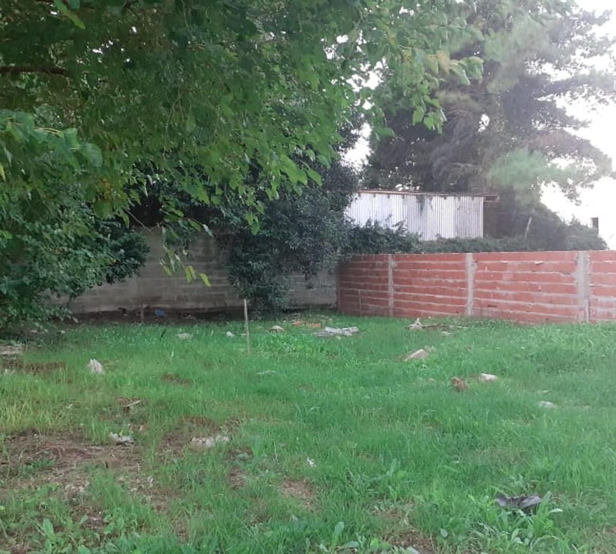 Figueroa Alcorta 3000