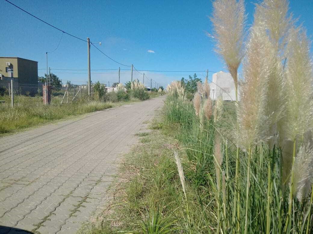Av. Antartida Argentina, La Campiña I, Zárate