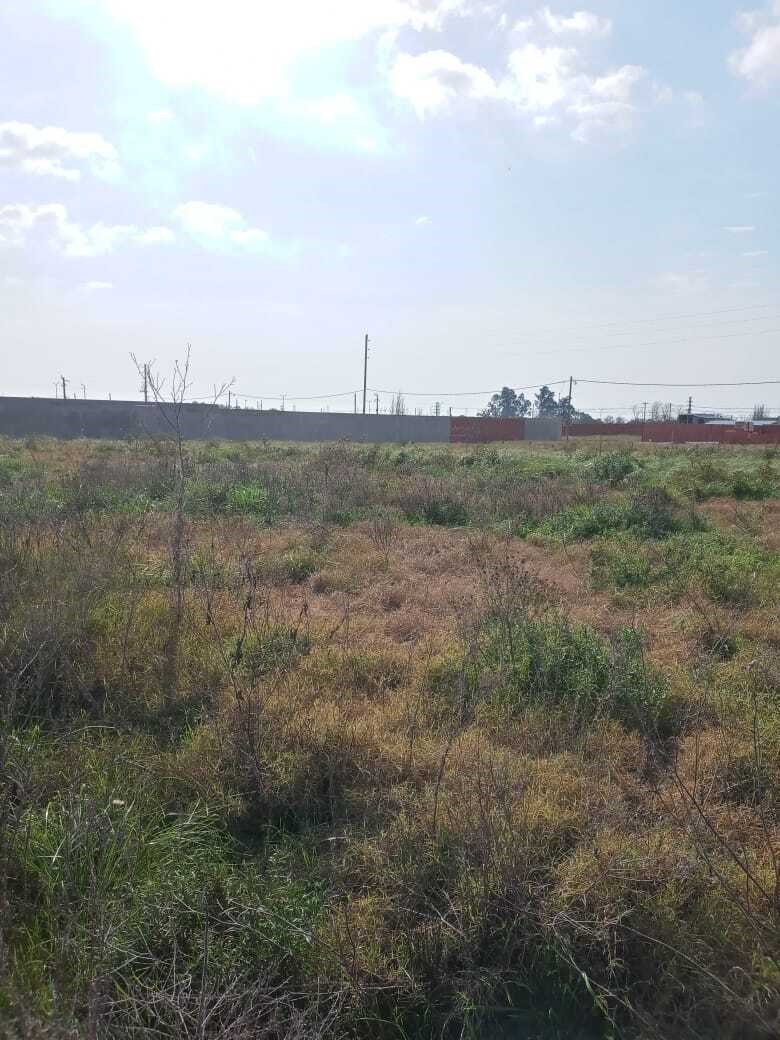 La Campiña III, Zarate