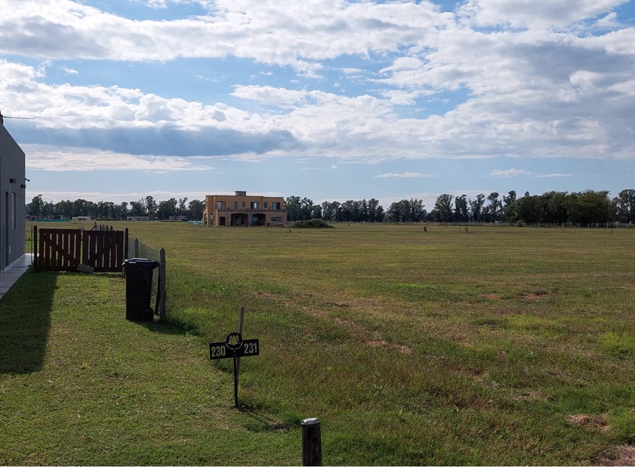 Ruta 6 km 142 Villa de Campo Tres Pinos 200