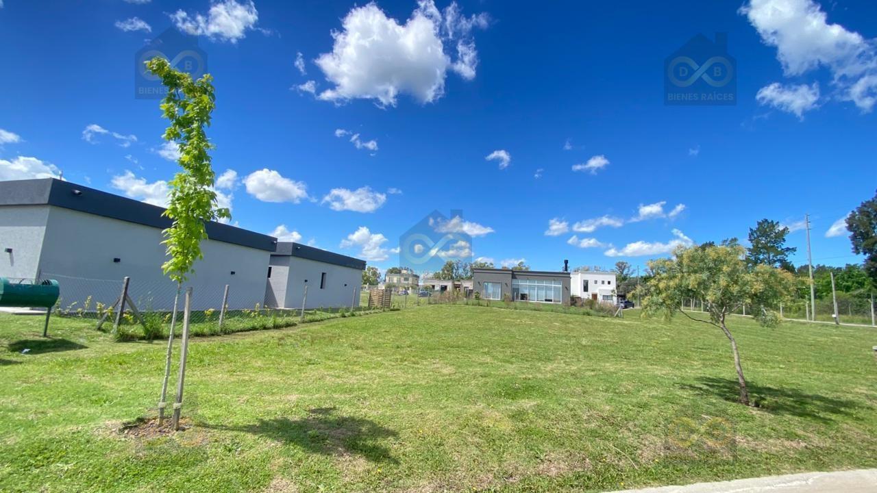 Santa Elisa, Pilar del Este, Pilar