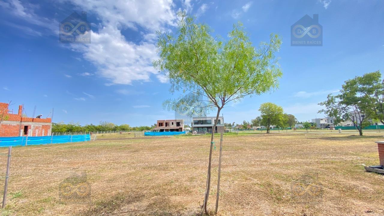 Santa Sofia, Pilar del Este, Pilar