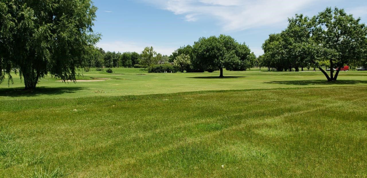 vista golf 1