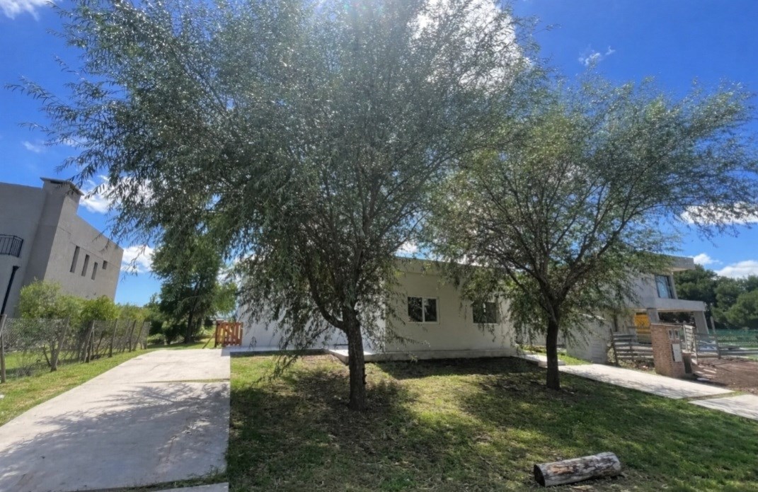 Roque Petrocchi 5300