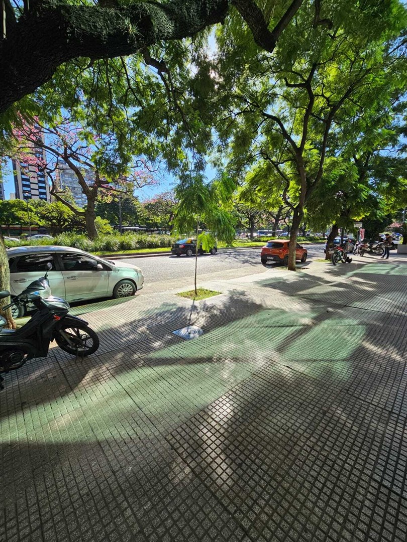 Carlos Pellegrini 800