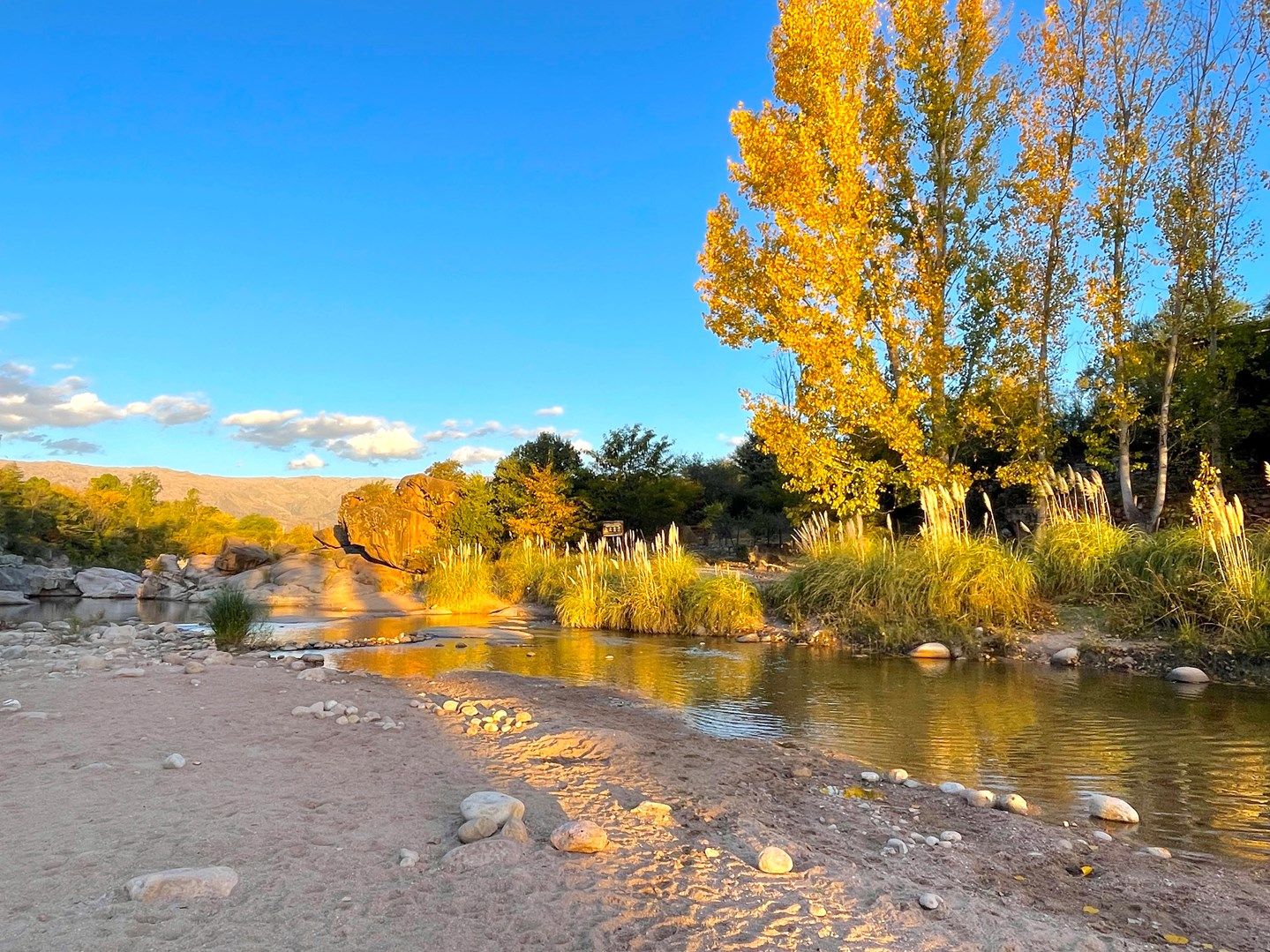 Av de los porteños 500