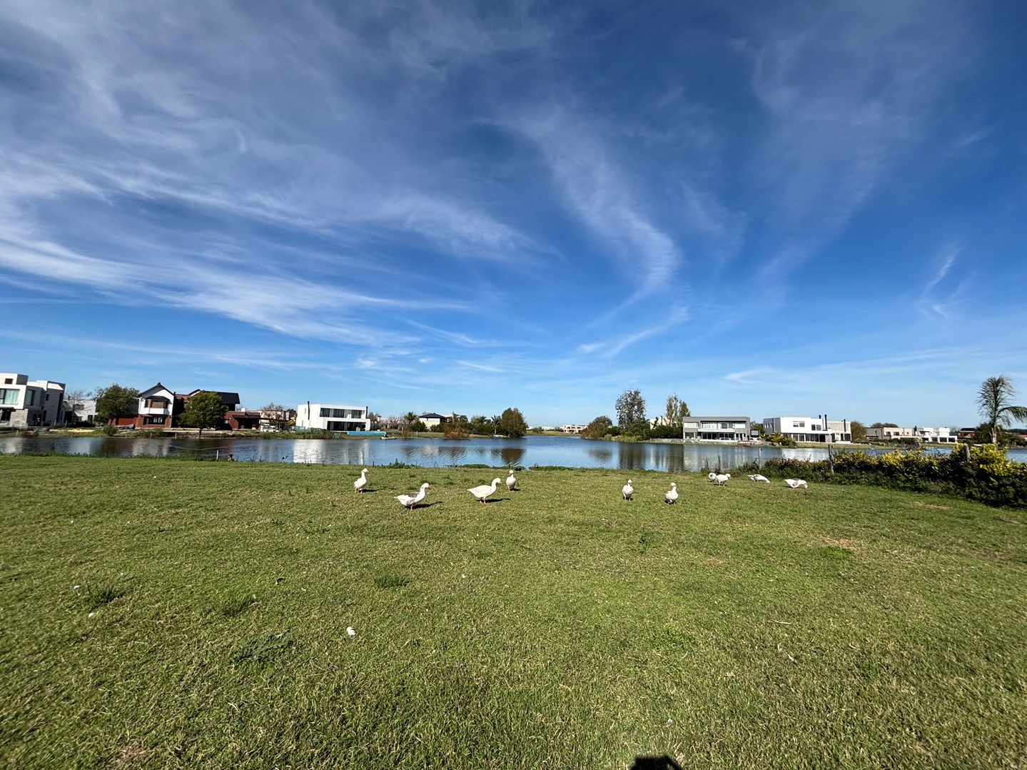 Libertad 310, CP  Buenos Aires, Provincia de Buenos Aires 300