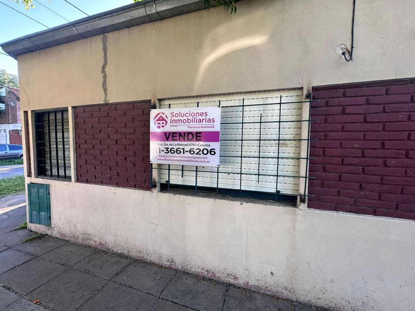 Leonismo Argentino 3300