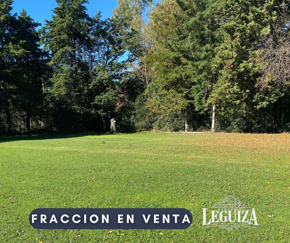 Domingo F Sarmiento 900