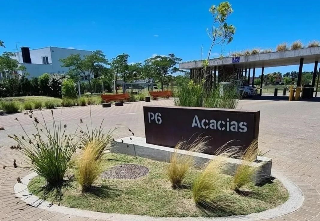 Acacias 0
