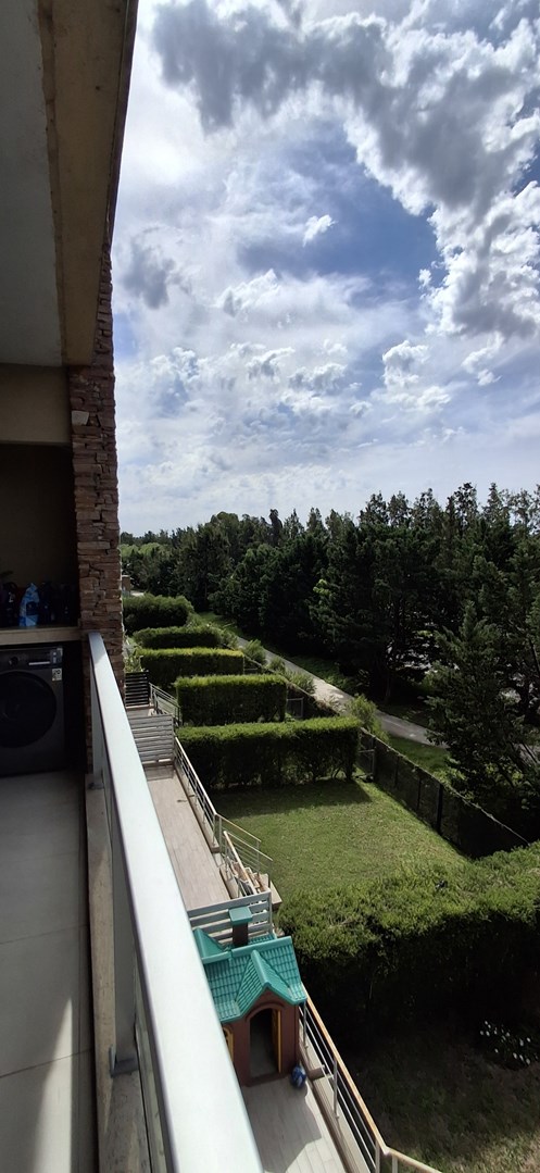 Barrio El Palmar 100