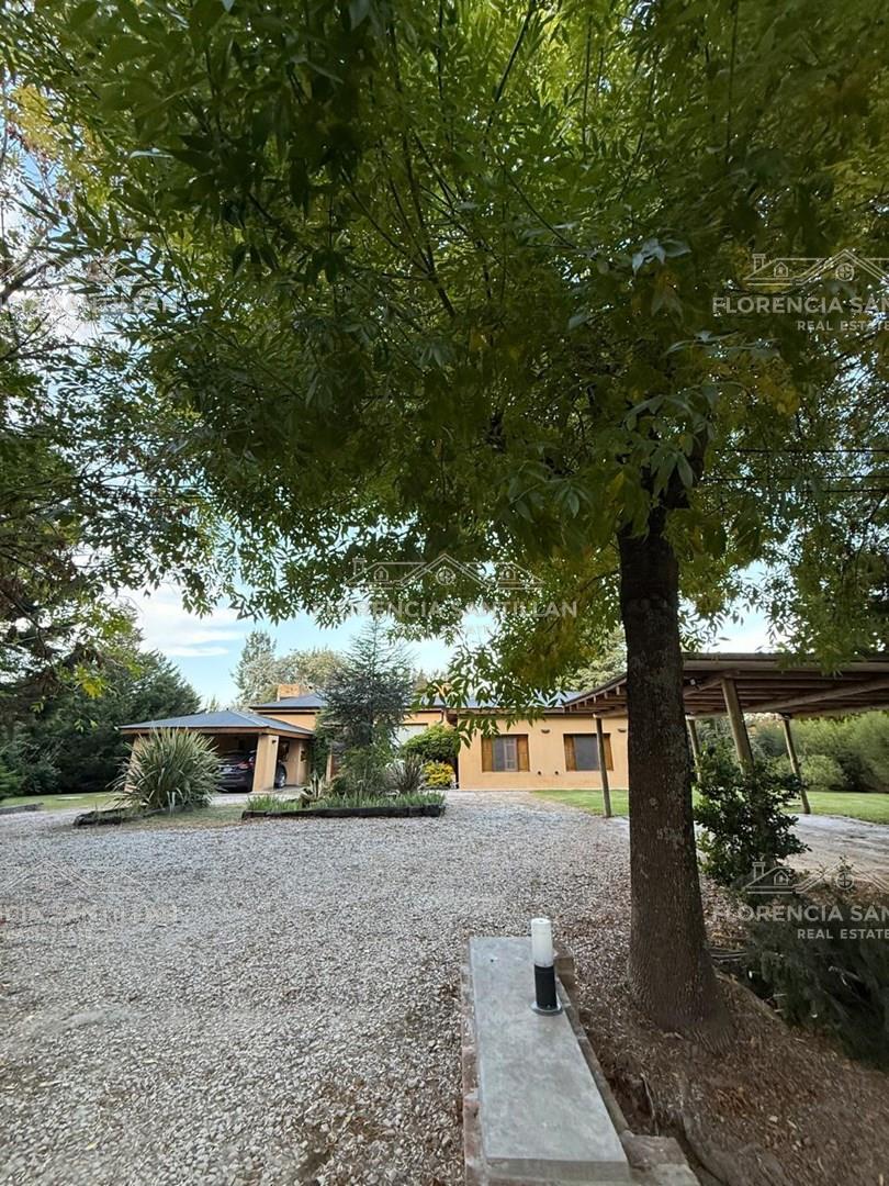 campo de roca 100