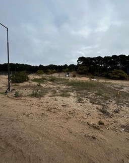 German Berretti prop