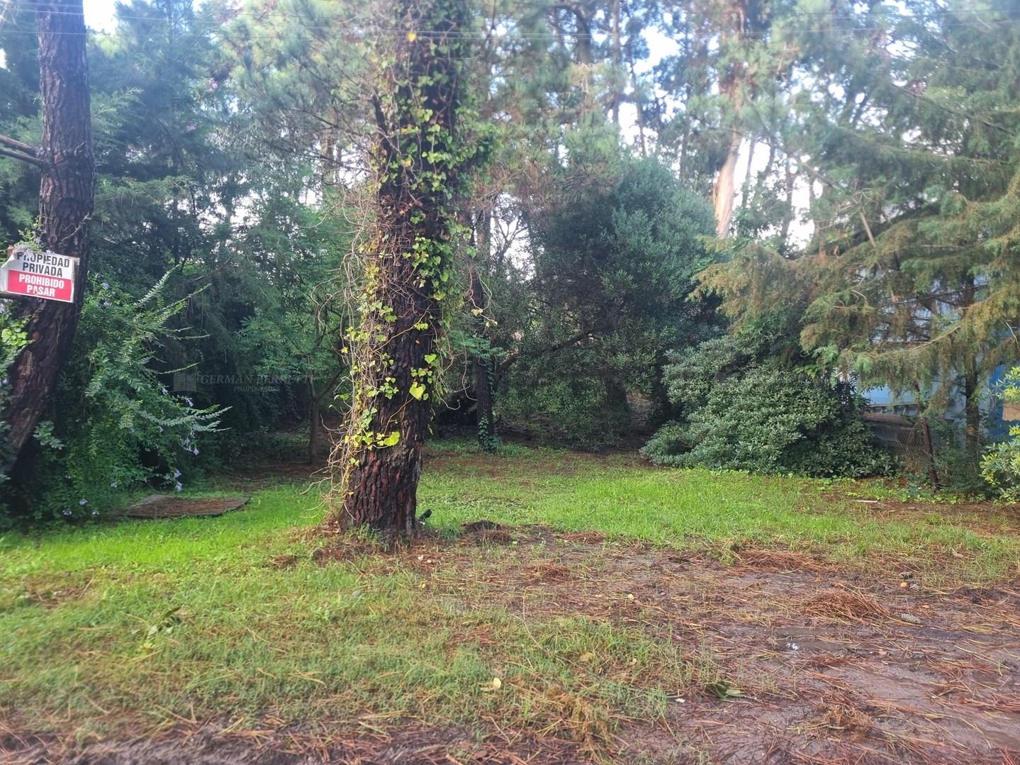 German Berretti prop