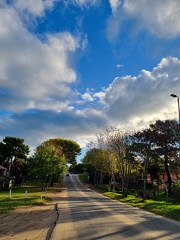 German Berretti prop