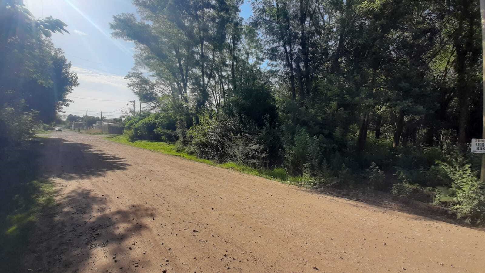 ARENALES Y CONSTITUCION