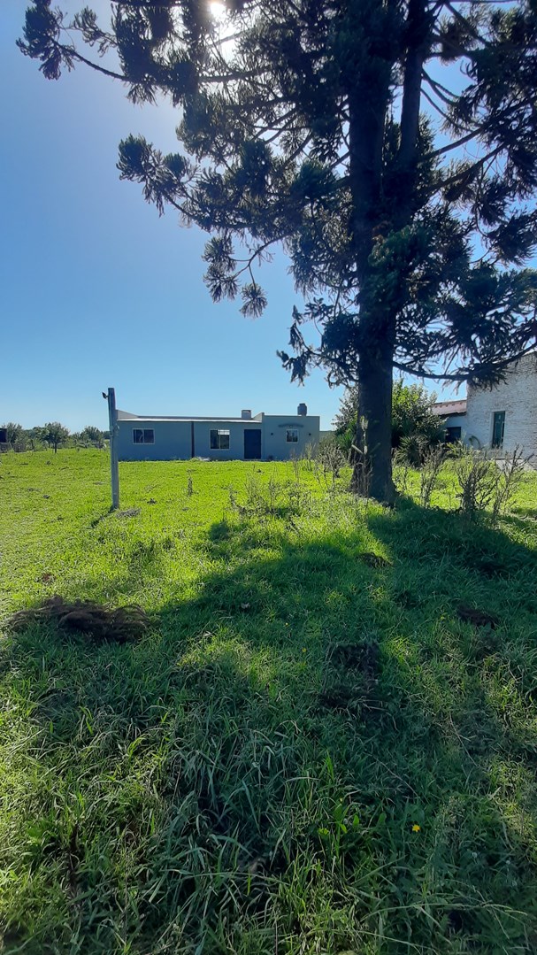 Acceso Dalto y Ruta 205