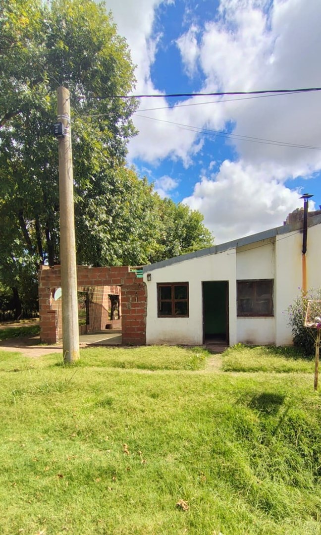 LOS AROMOS Y LOS PLATANOS 0