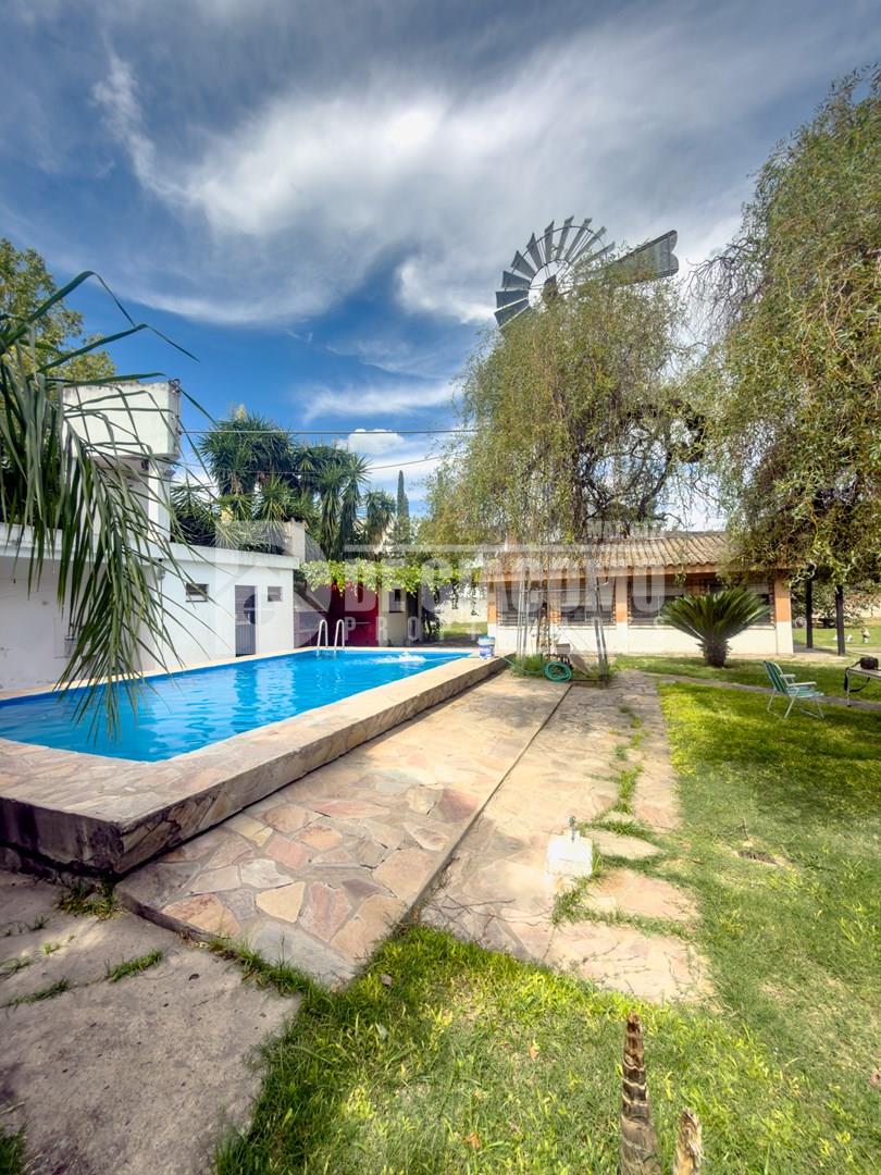 DeVincenzo Gde - c 4700