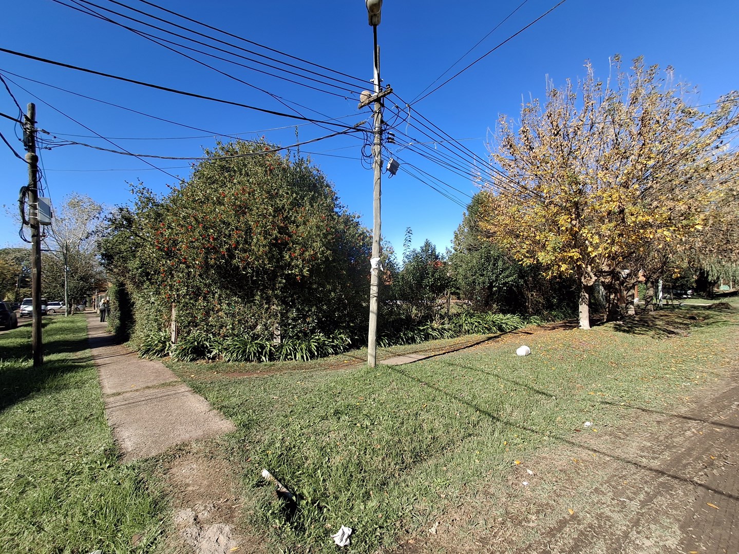 Brochero 1800