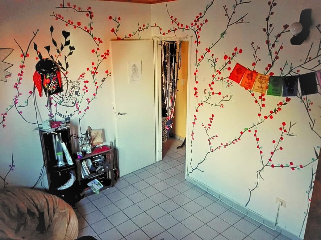 Barrio 150 vivienda  44