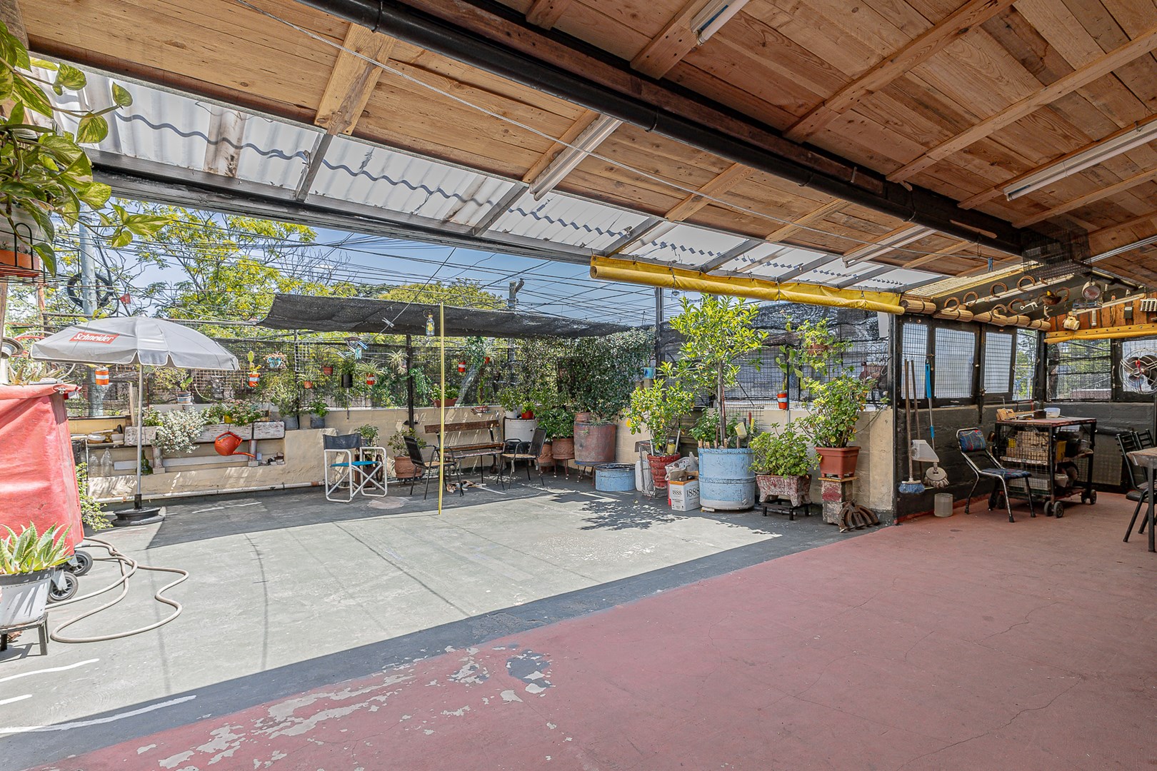 Miguel de Cervantes 2100